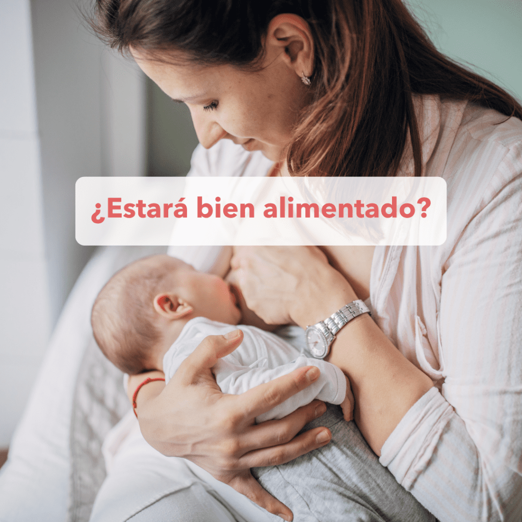 Texto del párrafo (3)